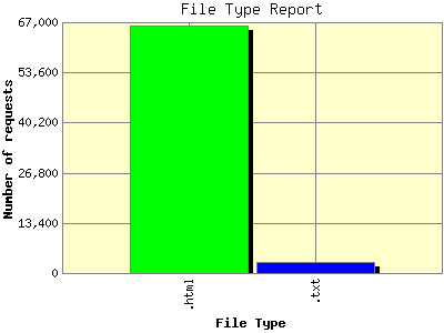 File Type Report: Number of requests by File Type.